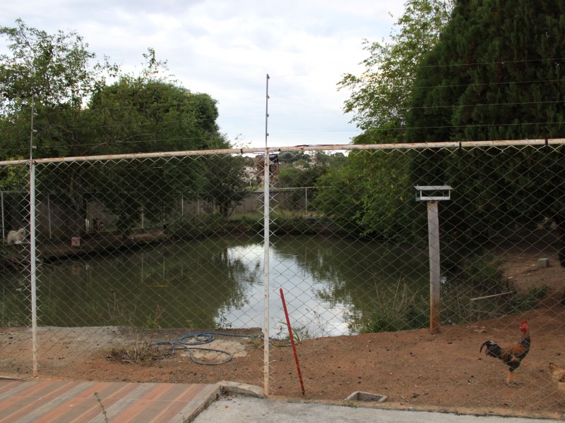 CASA PQ. DA FIGUEIRA