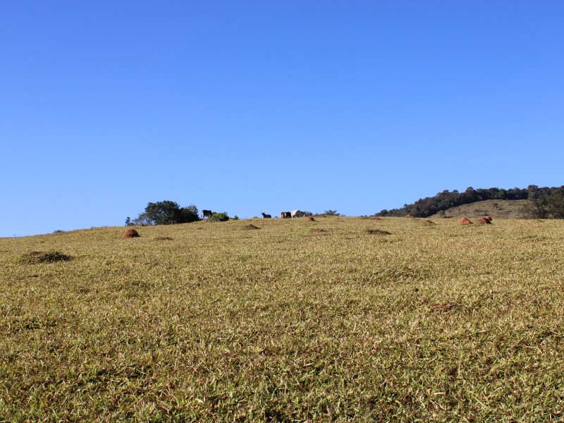 SÍTIO SÃO JOÃO PEQUENO