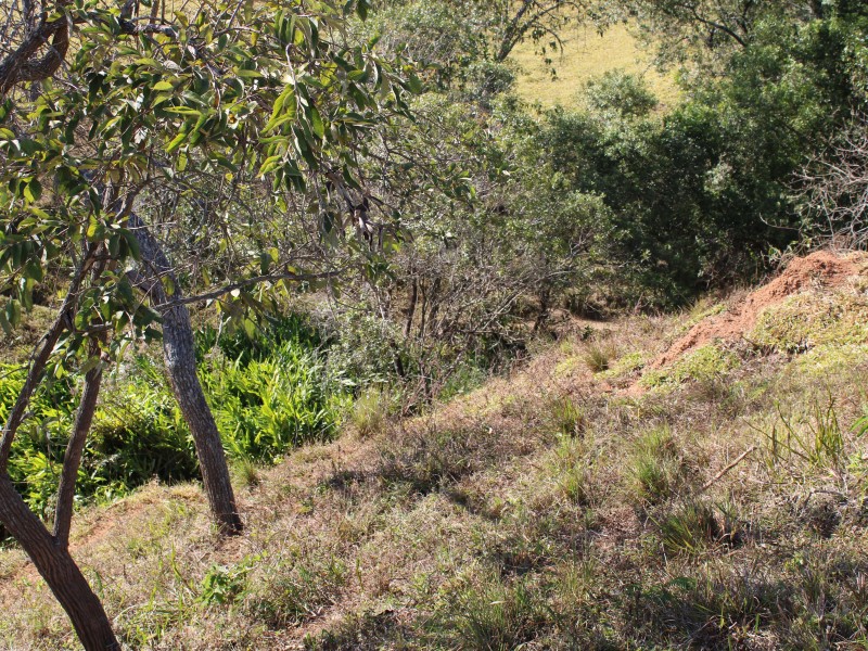 SÍTIO SÃO JOÃO PEQUENO