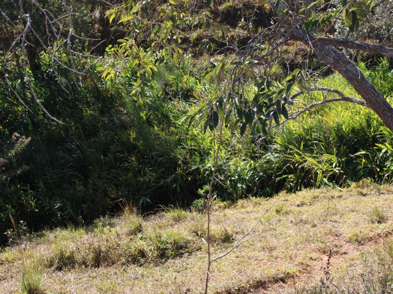 SÍTIO SÃO JOÃO PEQUENO