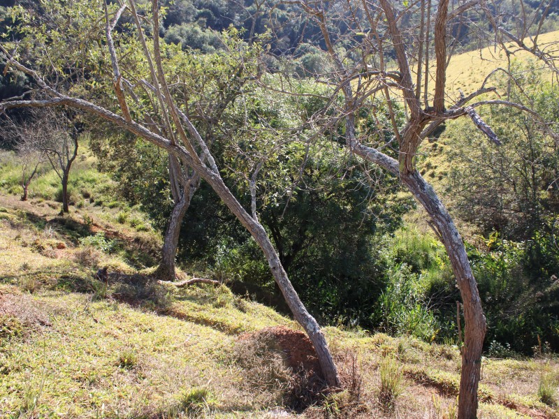 SÍTIO SÃO JOÃO PEQUENO