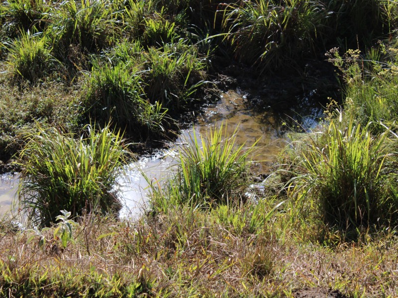SÍTIO SÃO JOÃO PEQUENO