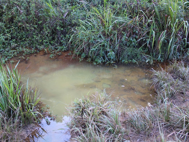 SÍTIO SÃO JOÃO PEQUENO