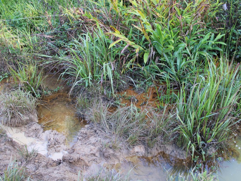 SÍTIO SÃO JOÃO PEQUENO