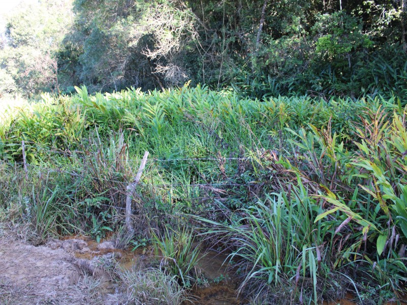SÍTIO SÃO JOÃO PEQUENO