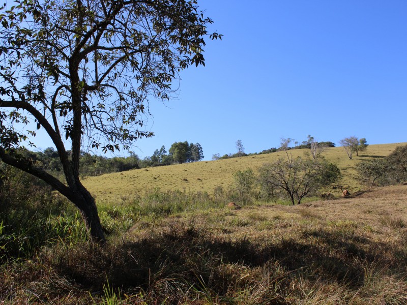 SÍTIO SÃO JOÃO PEQUENO