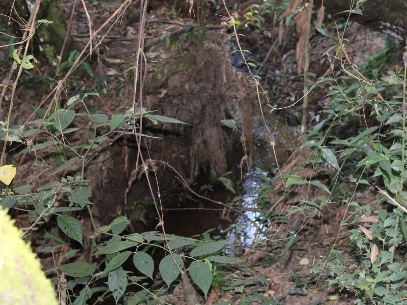 SÍTIO SÃO JOÃO PEQUENO