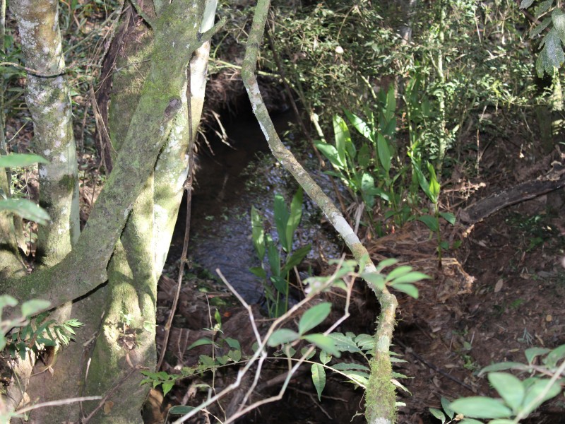 SÍTIO SÃO JOÃO PEQUENO