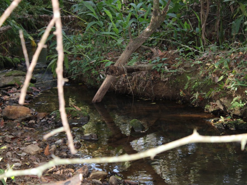 SÍTIO SÃO JOÃO PEQUENO