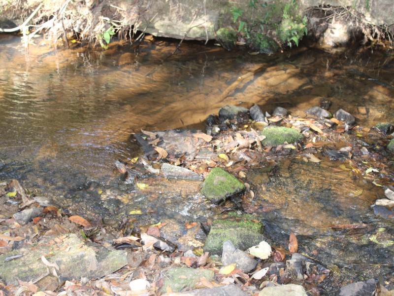 SÍTIO SÃO JOÃO PEQUENO