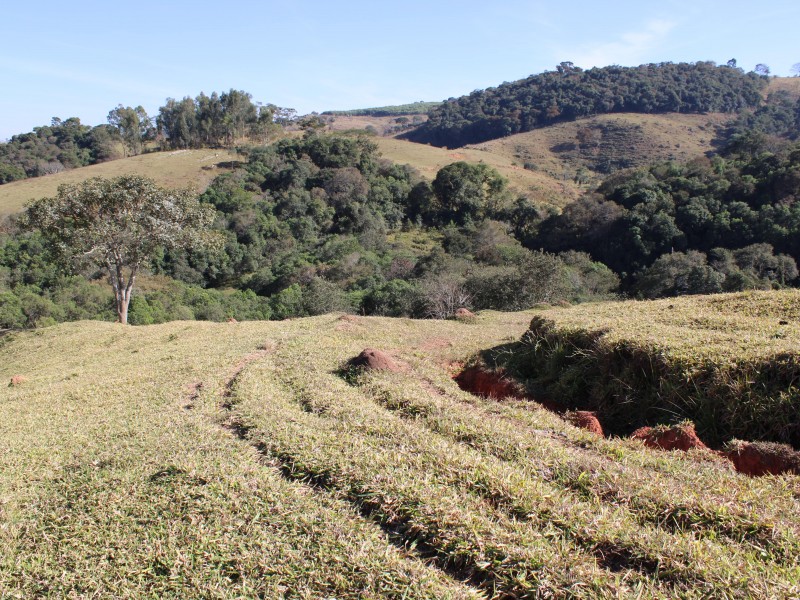 SÍTIO SÃO JOÃO PEQUENO