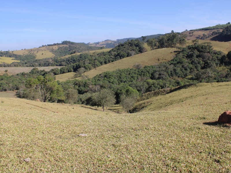 SÍTIO SÃO JOÃO PEQUENO