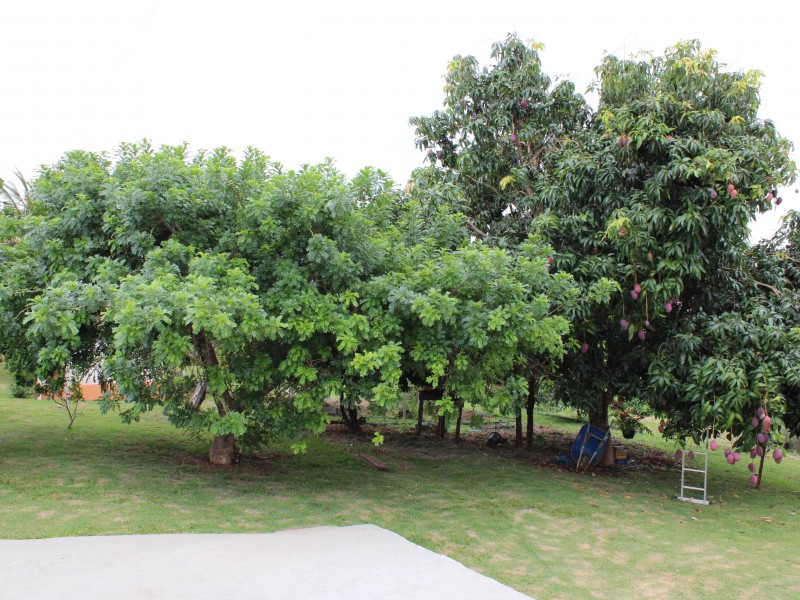 CHÁCARA PORTAL DOS NOBRES