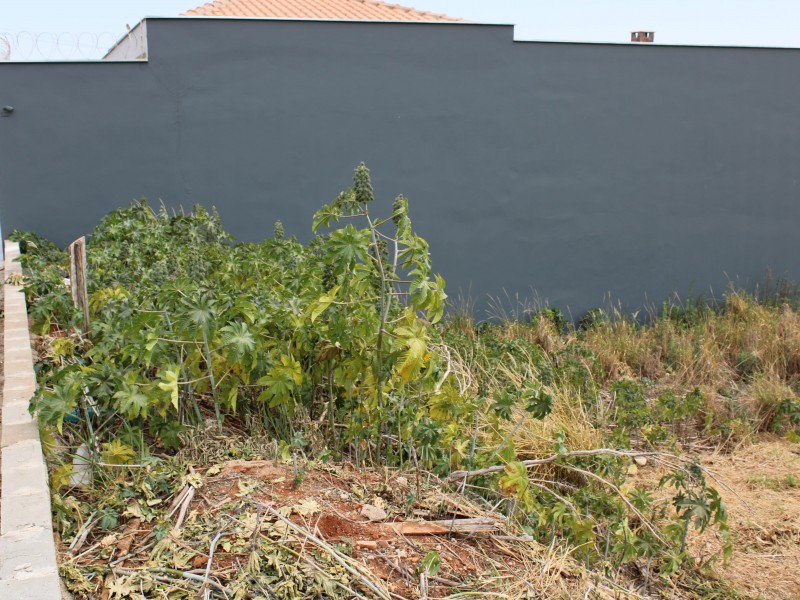 TERRENO VALE DA MATA