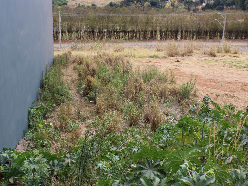 TERRENO VALE DA MATA