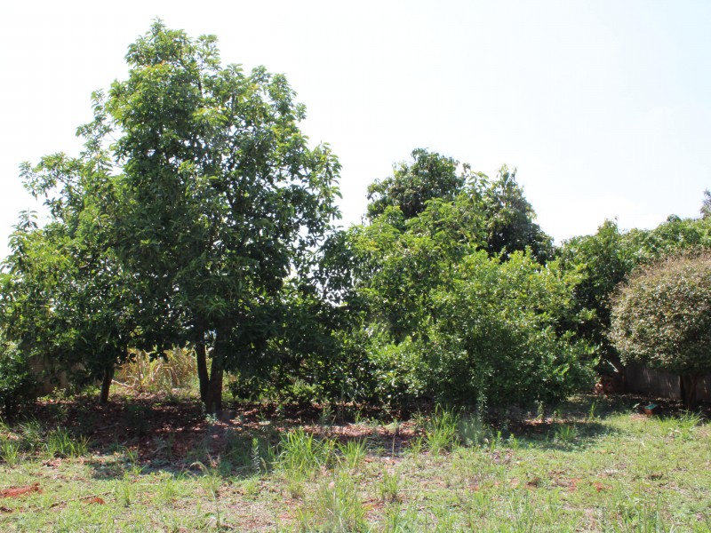 CHÁCARA FLOR DO ESTADO